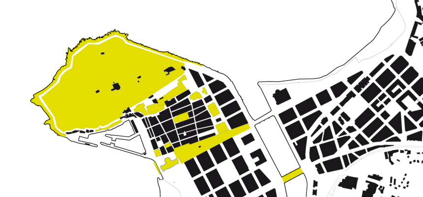 plano-frontal