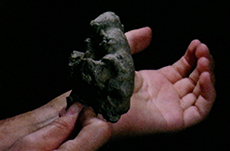 Filmoteca Vasca. depósito Armando Llanos Ortiz de Landaluze.