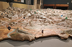 Gipuzkoako maketa 1:10000 eskalan, 1951. San Telmo Museoa