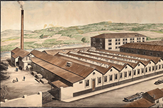 Boinas Elósegui. G. DAbraira