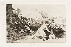 Goya 33 T