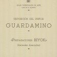 Sánchez Guardamino Donostian